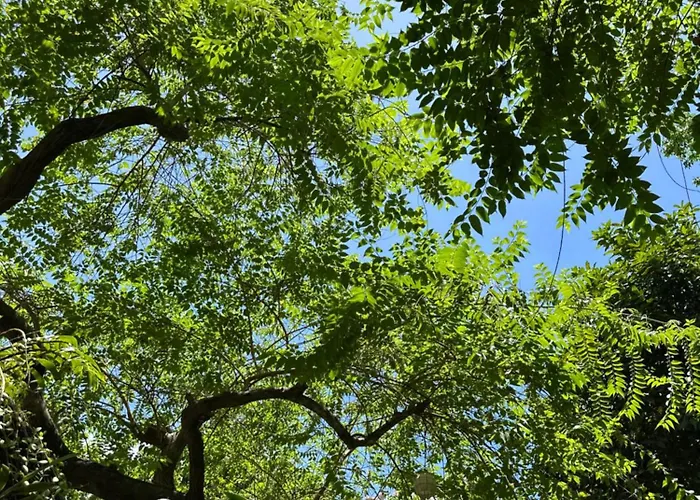 Miranamin Nest Kamantigi - Two Bed In Historic With Luxury Indoor Plunge Pool, Garden Access, Self-service Breakfast, Guest Kitchen, Pet-friendly Apartment *