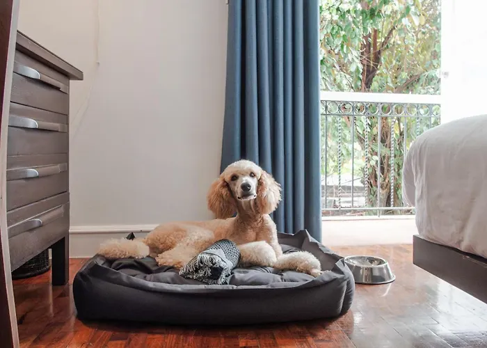 Miranamin Nest Kamantigi - Two Bed In Historic With Luxury Indoor Plunge Pool, Garden Access, Self-service Breakfast, Guest Kitchen, Pet-friendly